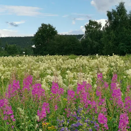 - Quality Detached House With Sauna Nearby Services Villa Rovaniemi