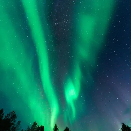 - Quality Detached House With Sauna Nearby Services 빌라 *